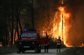 Europe heatwave sparks wildfires